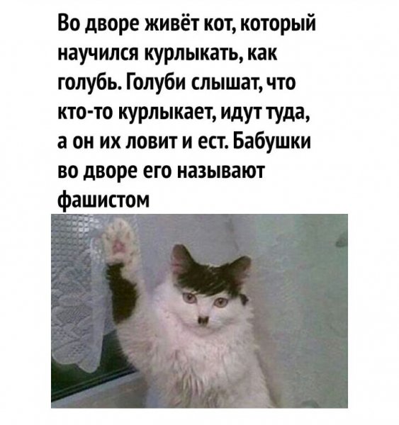 image (3) - 2020-07-17T005517.540