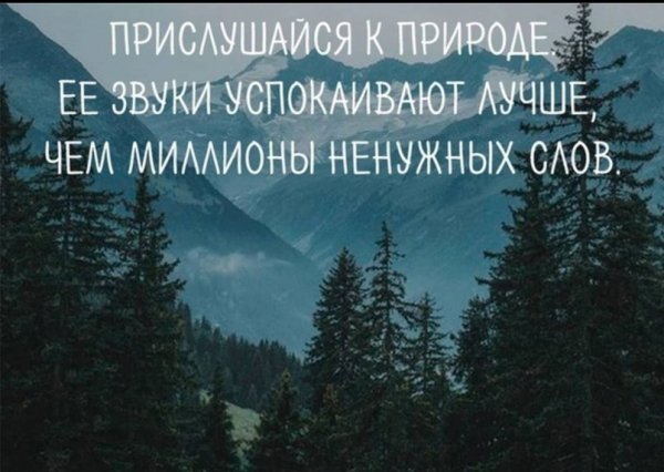 Верные слова!