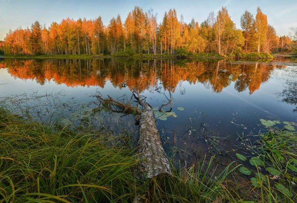 Приход осени