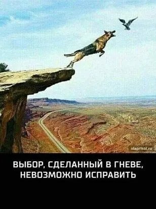 IMG 20211225 161343