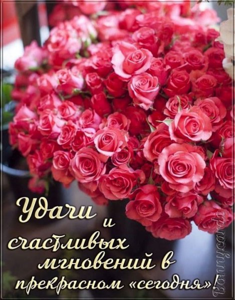 УДАЧИ И СЧАСТЛИВЫХ МГНОВЕНИЙ