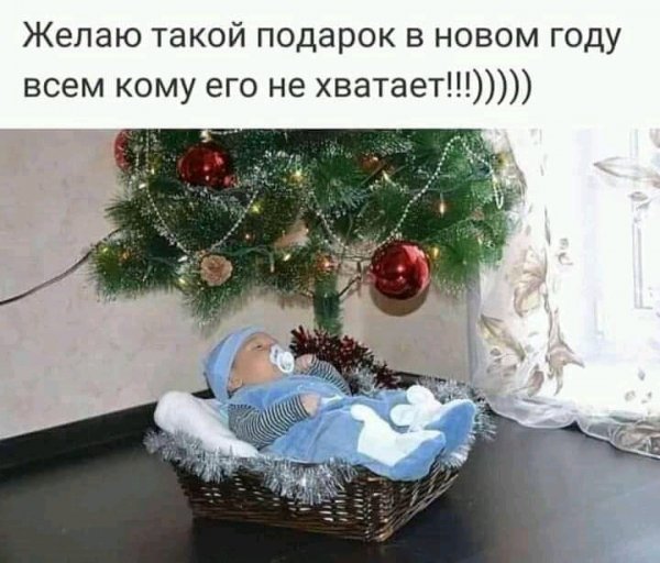 FB IMG 16381103917606913