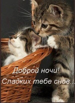 4d435ab8f6789101d1f9226df71c83ab