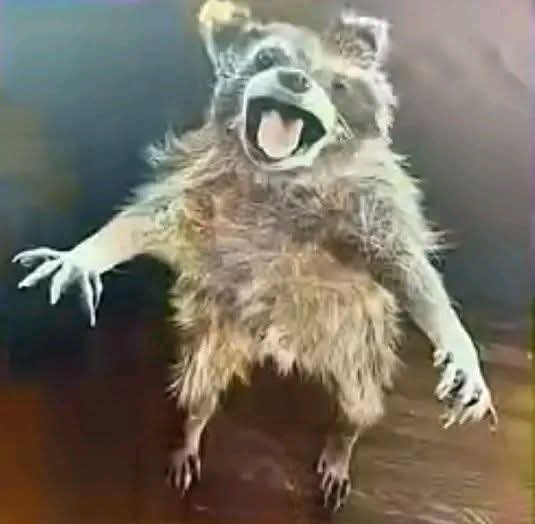 FB IMG 1769457524838