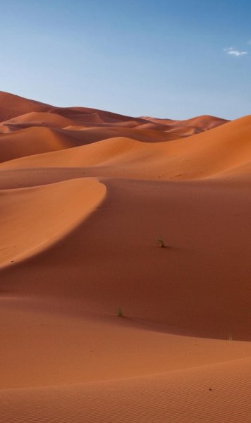 Screenshot 20260222-165525 One UI Home