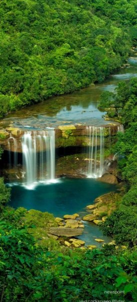 Арт Природа