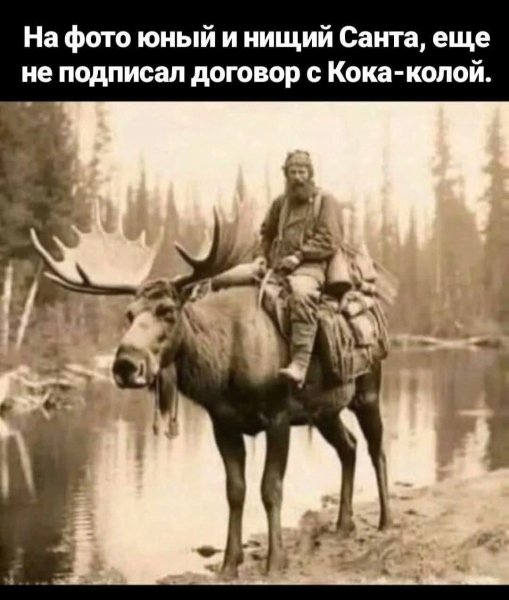 picture_399666753