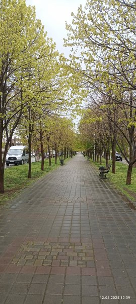 Анапа. Улица Кати Соловьяновой