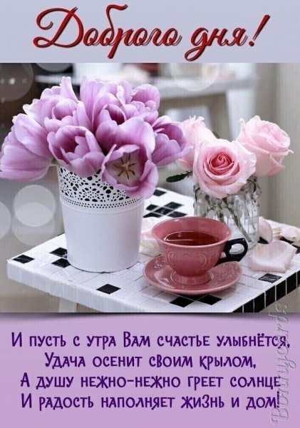 bf9d2003469ac9b0d68efeab01936e5e