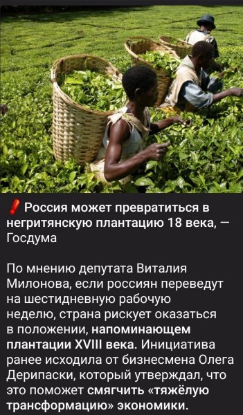 Photo 2026-03-31 13-04-46