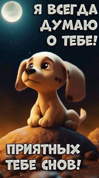 Спокойной ночи!