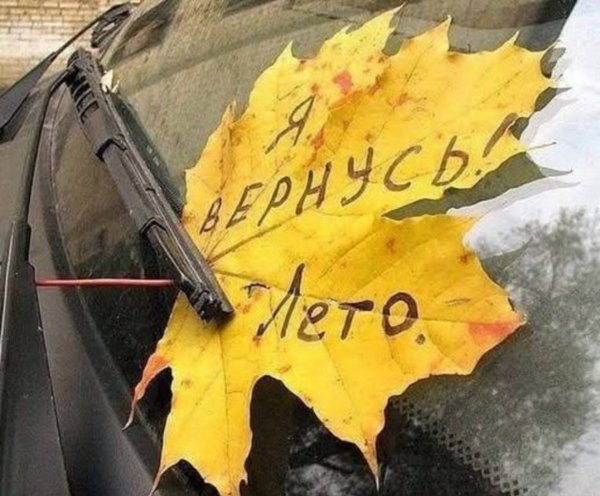 IMG 20250901 215511 911