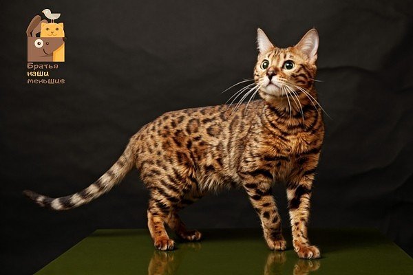 I - 2026-04-05T000107.576