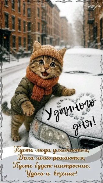 IMG 20260304 005205 452