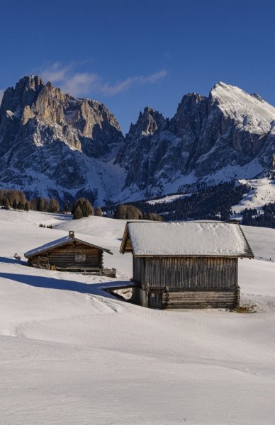 Screenshot 20260417-161106 One UI Home