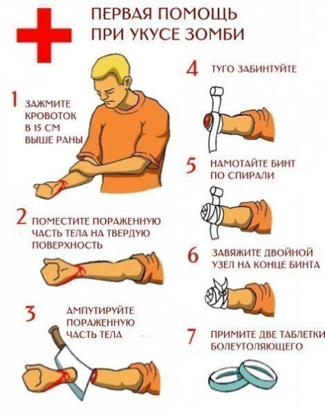 Первая помощь при укусе