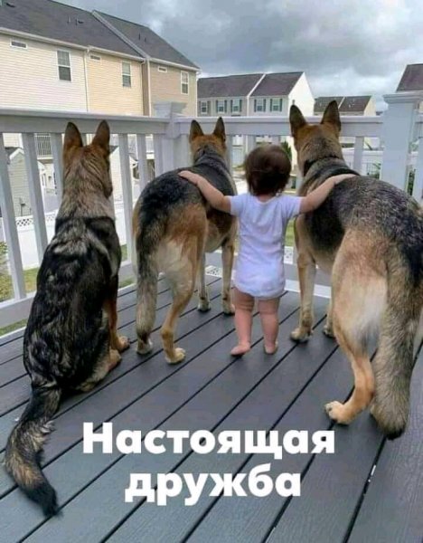 FB IMG 16381103773390521