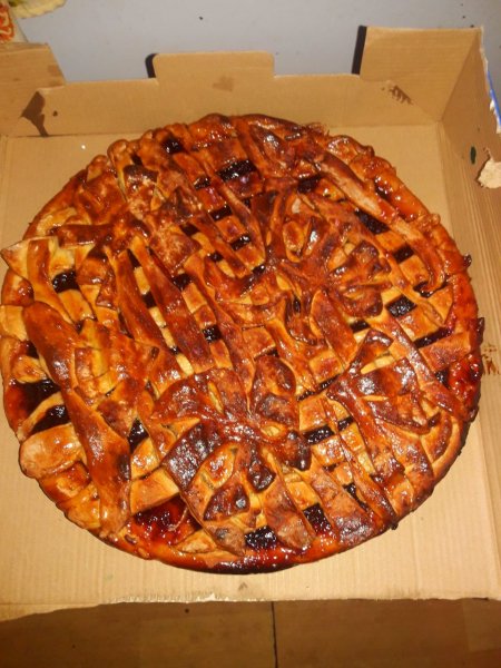 IMG 20250330 160952 305