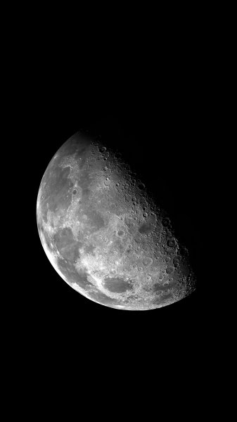 E12183073