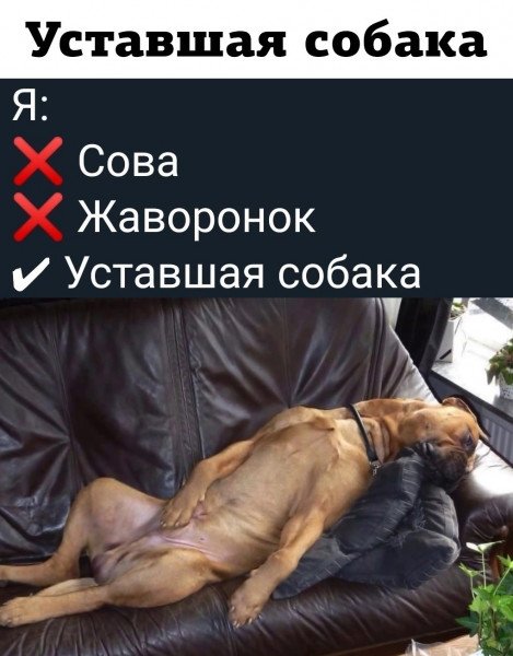 Так! ))