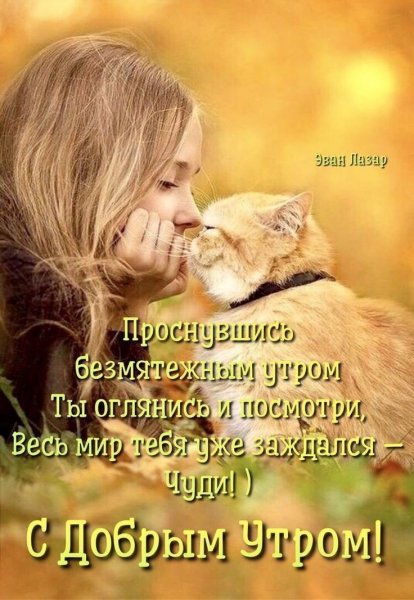 40f53af8429dc451b58745b033faf867