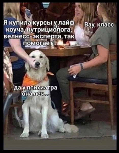 IMG 20260428 111158