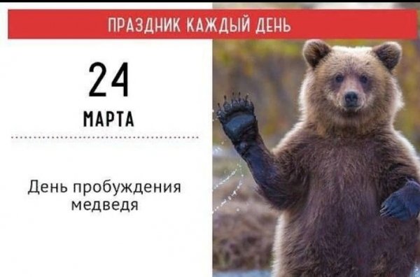 День пробуждения медведя