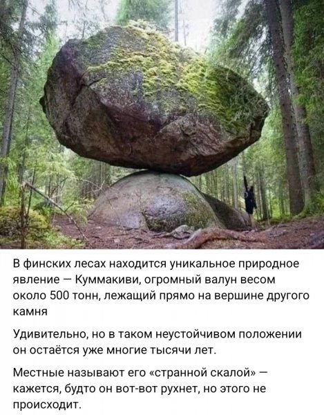 IMG-2fdceee5604038af572f38e9dc1944d4-V