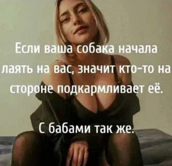 -vas-smejatsja-do-slez-i-vozmozhno-nemnogo-ispugatsja-00