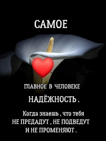 A7f1dfdf-3388-4741-9495-7086b9372e82