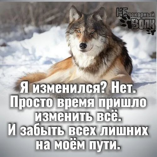 IMG 20260119 164032