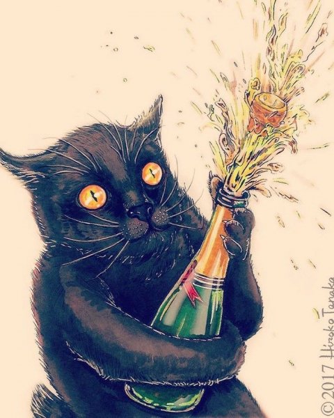 1e31e09187f11dfd994bf48442a95e3a