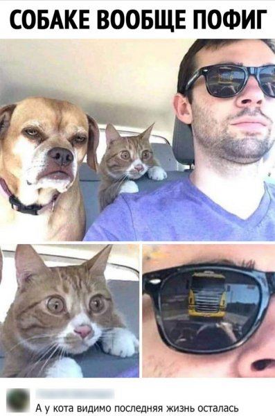 IMG 20201220 133853 676