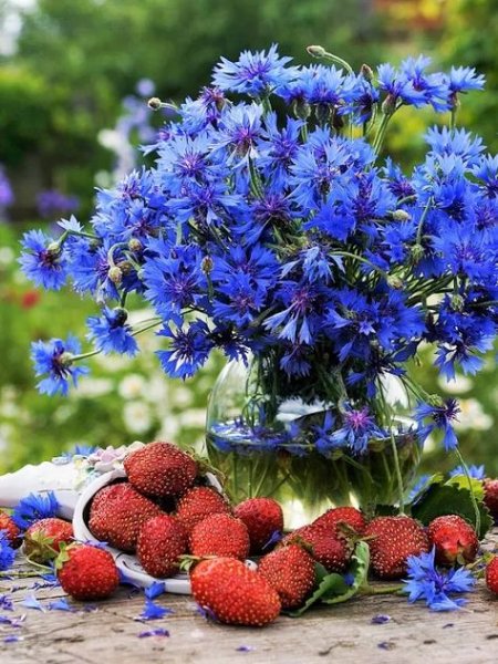 A0ce128afd44c561be02fb053d3624dd