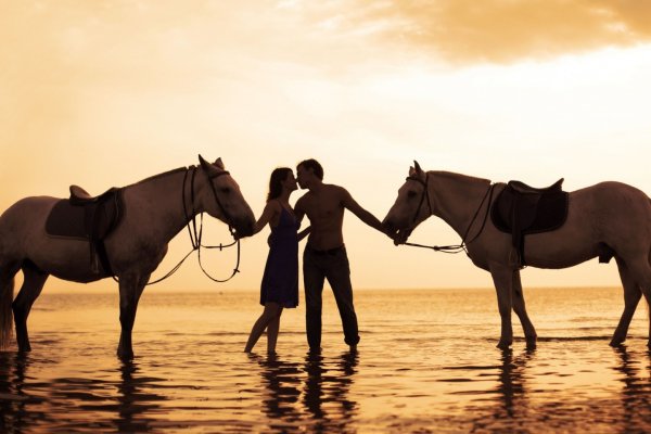 c77867d46692a9ff9009ab5ce2a7b3fe