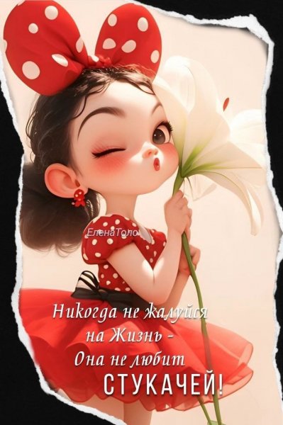 IMG 20250301 090323 015