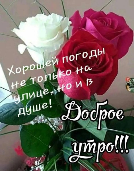 IMG-20211115-WA0000