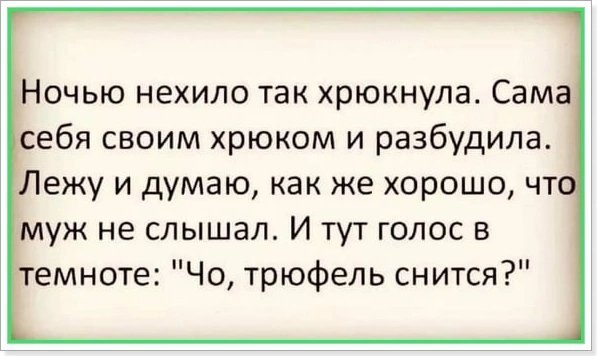 Жиза))))