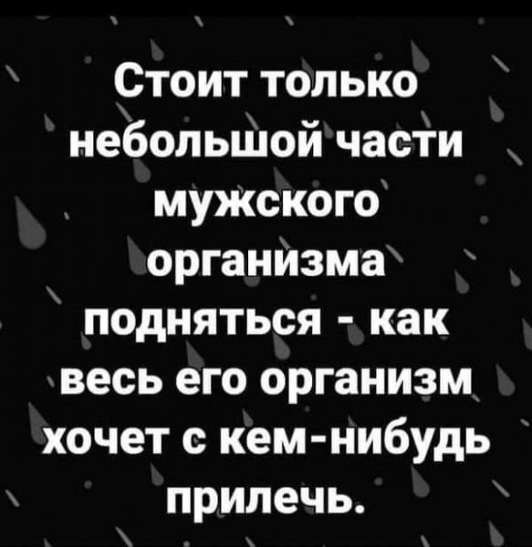 FB IMG 1613343918408
