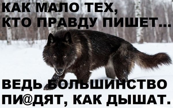 IMG 20160403 083336 41