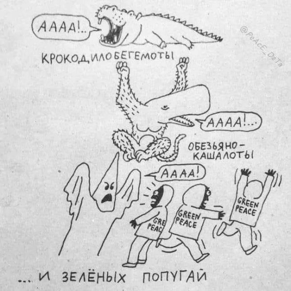 media FELwE 4X0AMW94