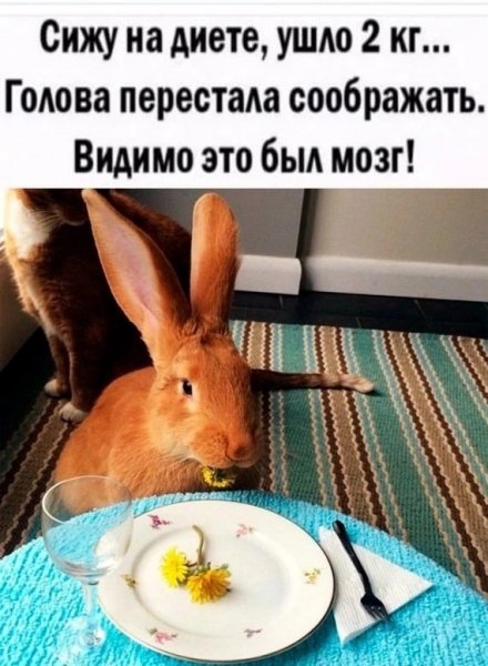 A80c32576c 19965840
