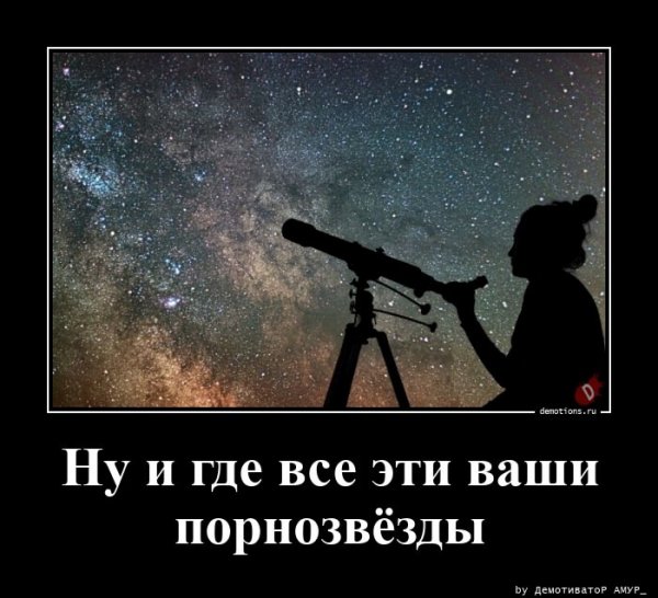 picture_384335284