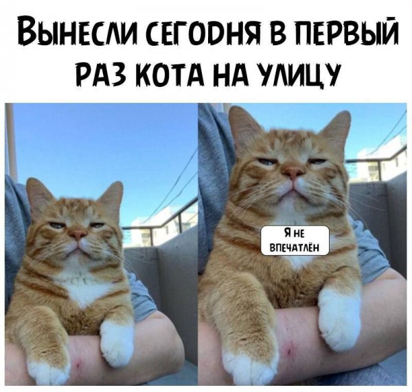 IMG 20250213 081144 258