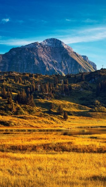 Screenshot 20260222-165528 One UI Home