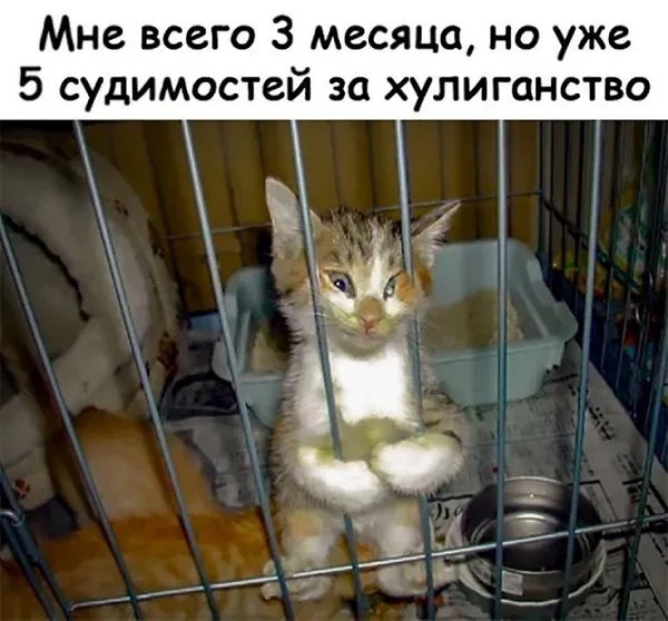 По малолетке)