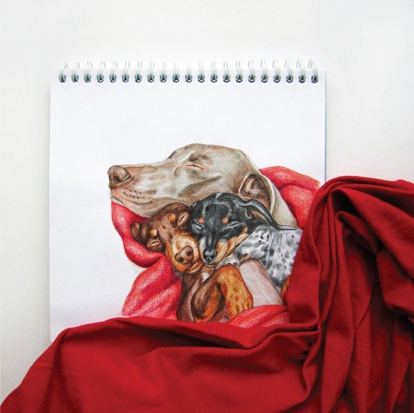 Funny Art by Valeria Susik-12