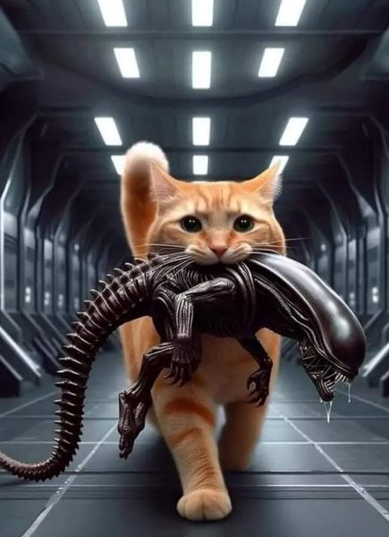 FB IMG 1713242682512