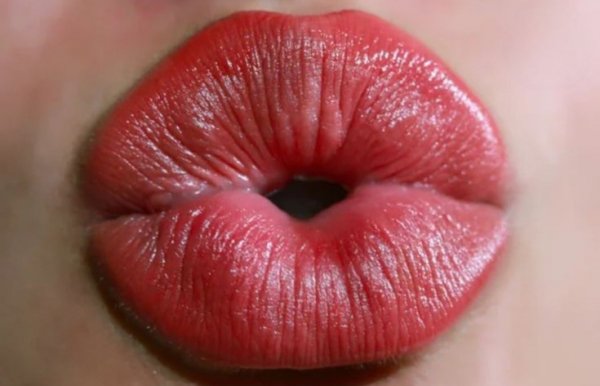 E9f3ebb2c4cb2d439d23a6b1f1608d5e