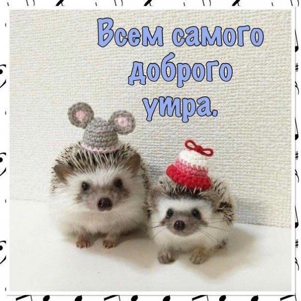 D3dcda30b8c2d843cea61cc20fb31753